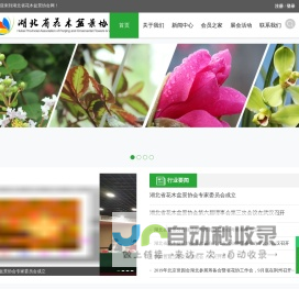 湖北省花木盆景协会