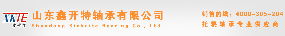 托辊轴承厂,开式托辊轴承,双密封托辊轴承,单密封托辊轴承-山东鑫开特轴承有限公司